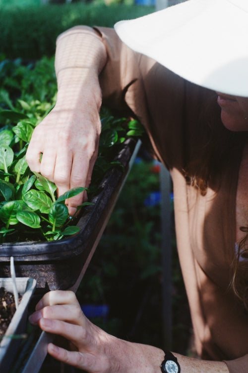 Kelmarna: Creating A Food System Kinder To The Planet