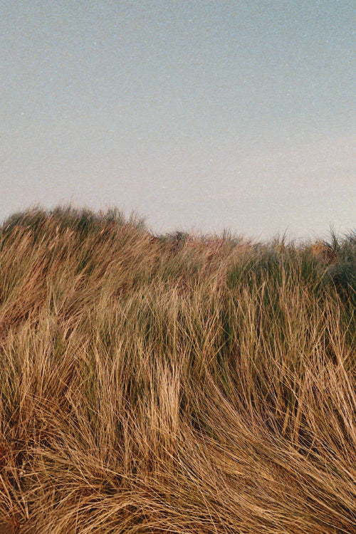 Kowtow Sustainability Strategy