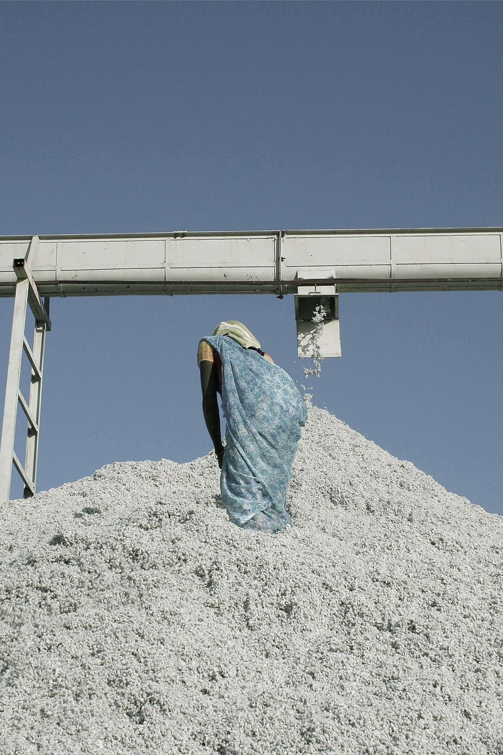 Kowtow Impact Report