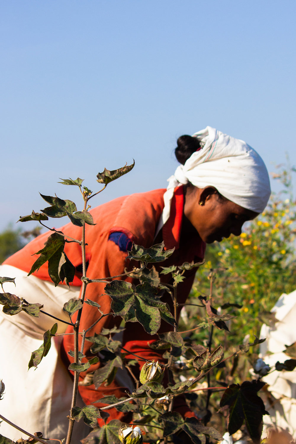 Growing better together: Kowtow & Fairtrade