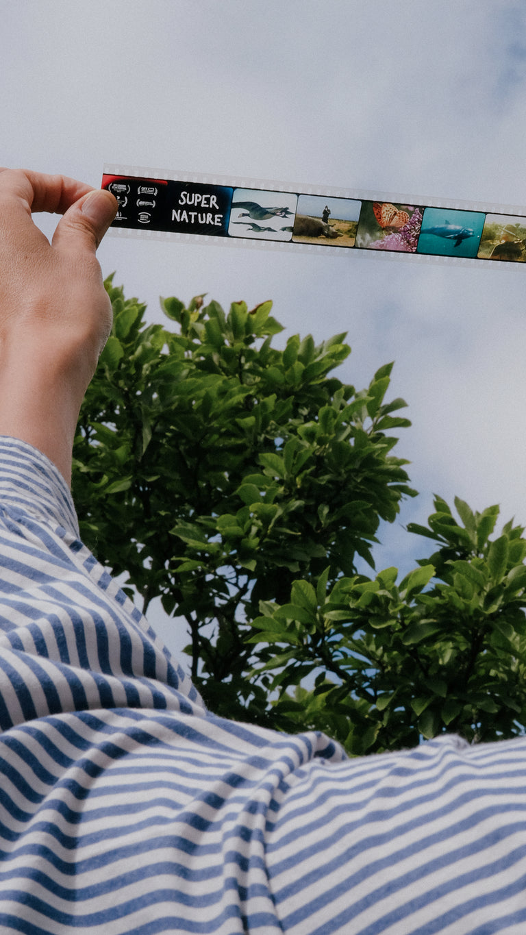 Video poster