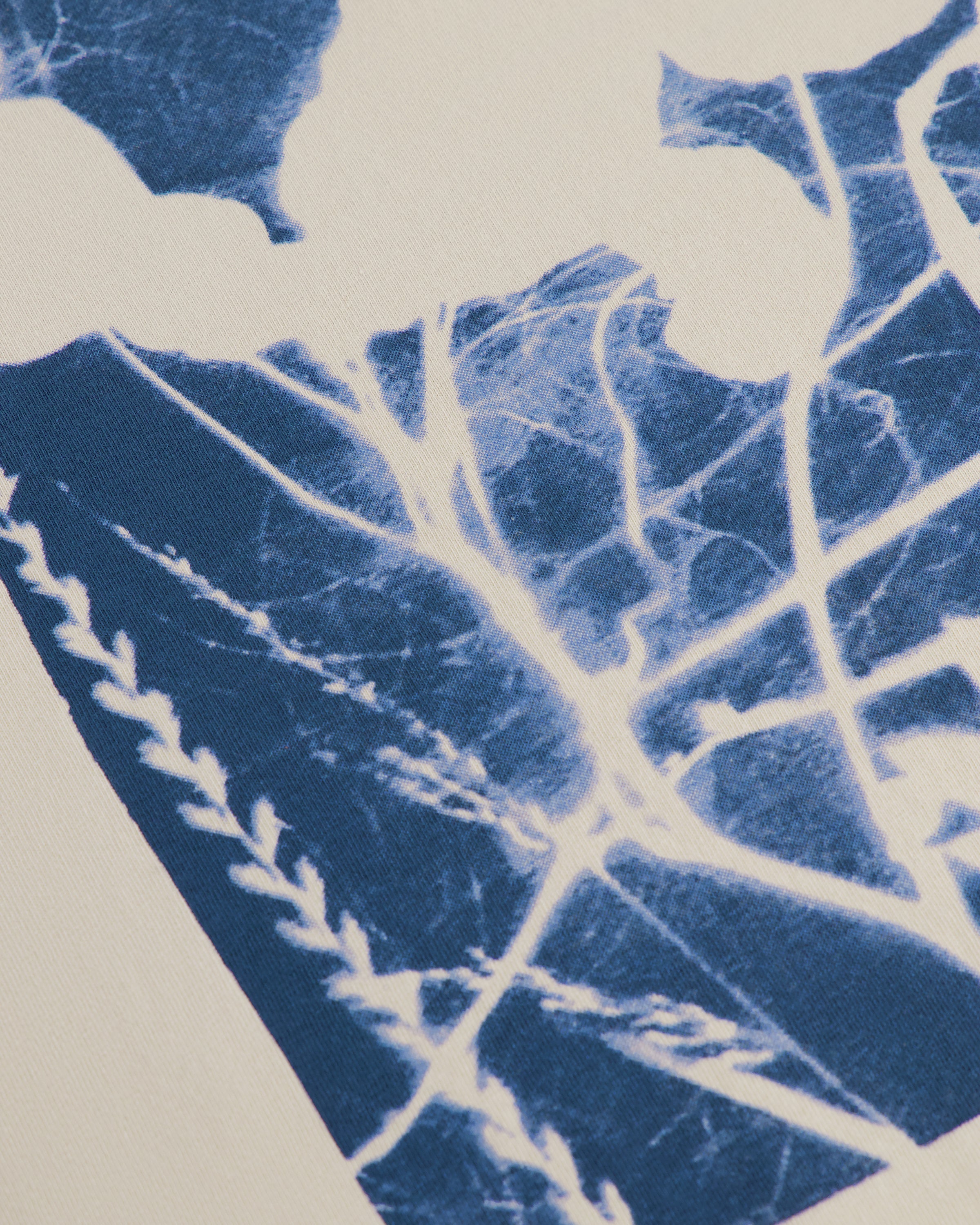 A close-up of a blue and white leaf print, showing detailed vein patterns on a light background.